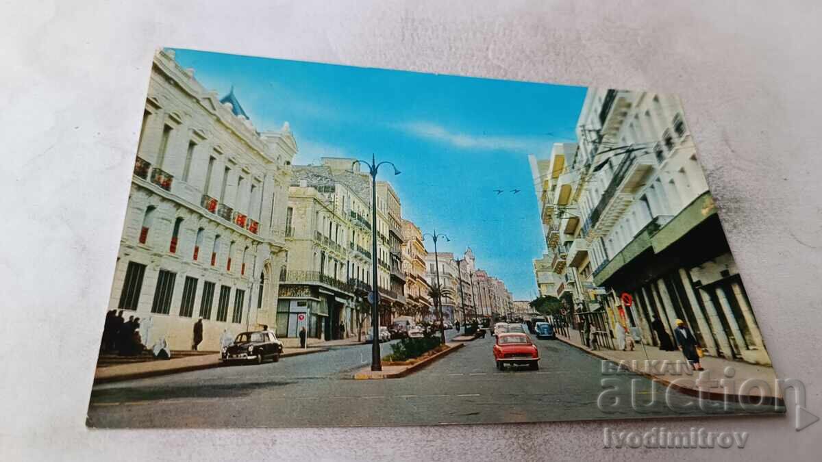 Postcard Oran View of an Avenue