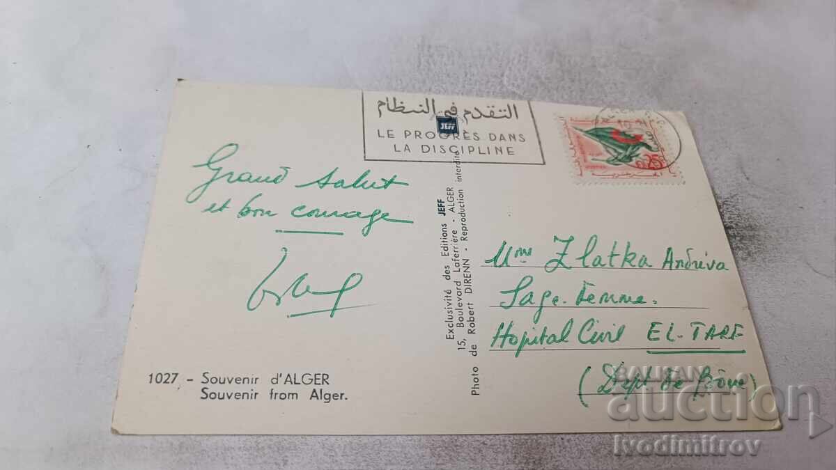 Postcard Souvenir from Alger Collage 1963 with price € 0.48 | 0.94 BGN