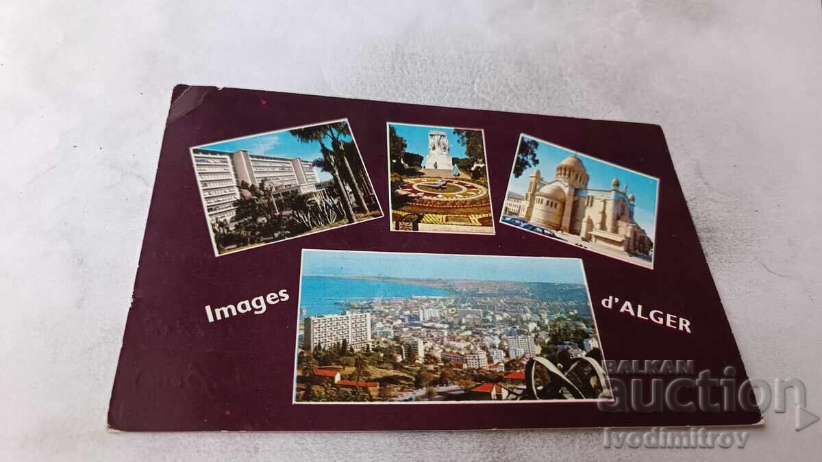 Postcard Souvenir from Alger Collage 1963