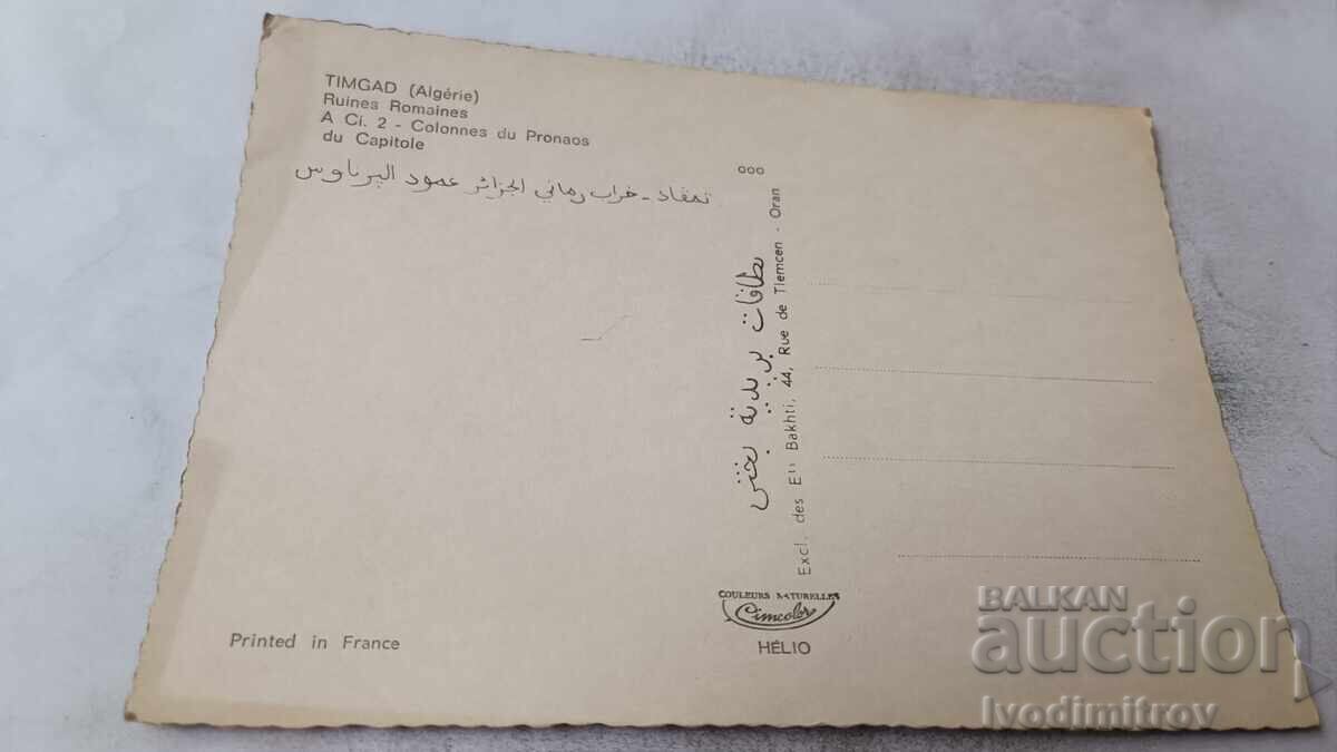 Carte poștală Timgad Colonnes du Pronaos du Capitole cu preț € 0.43 | 0.84 BGN