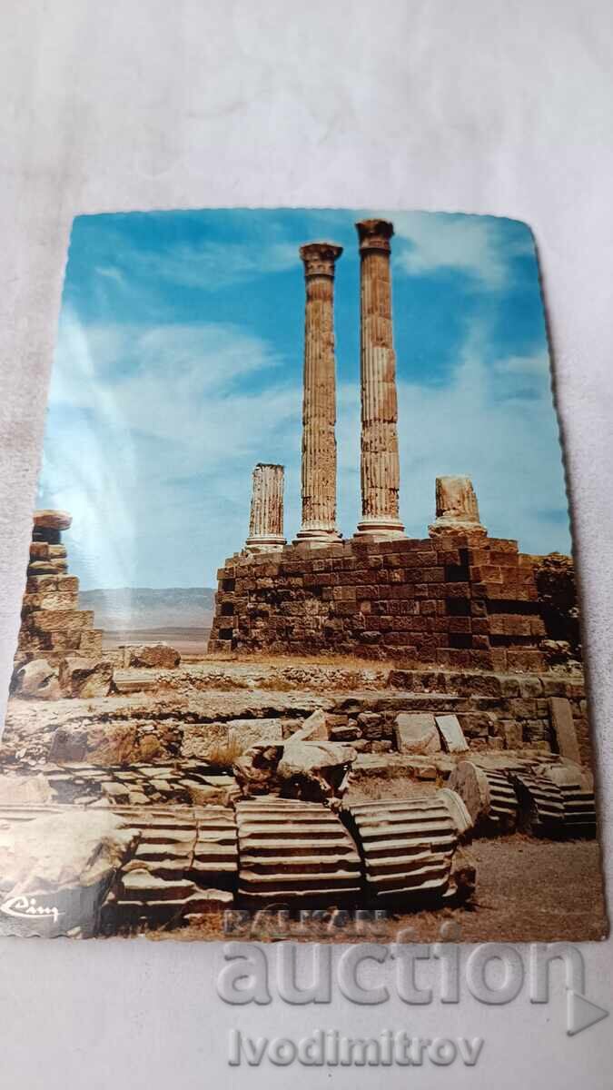 Carte poștală Timgad Colonnes du Pronaos du Capitole