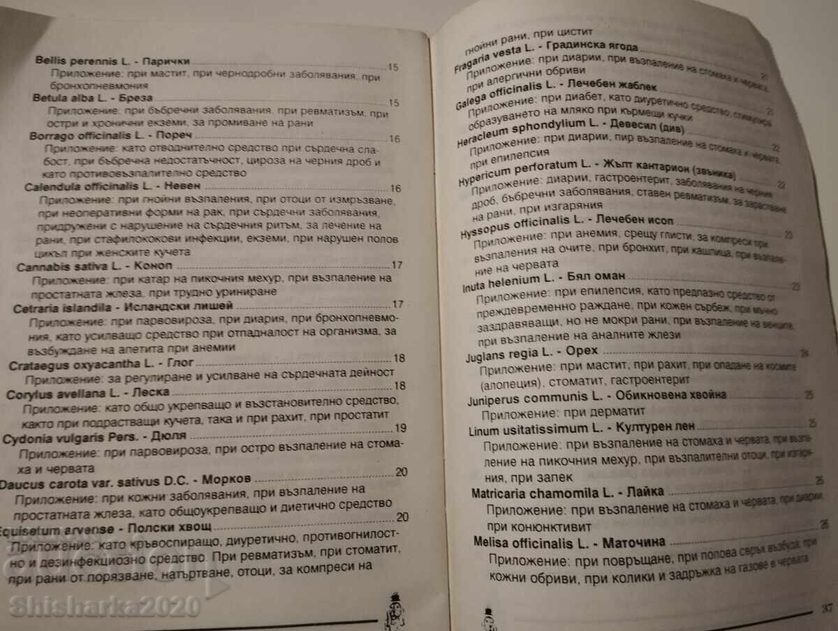 Παράδοση Φυτικό φαρμακείο για τον σκύλο