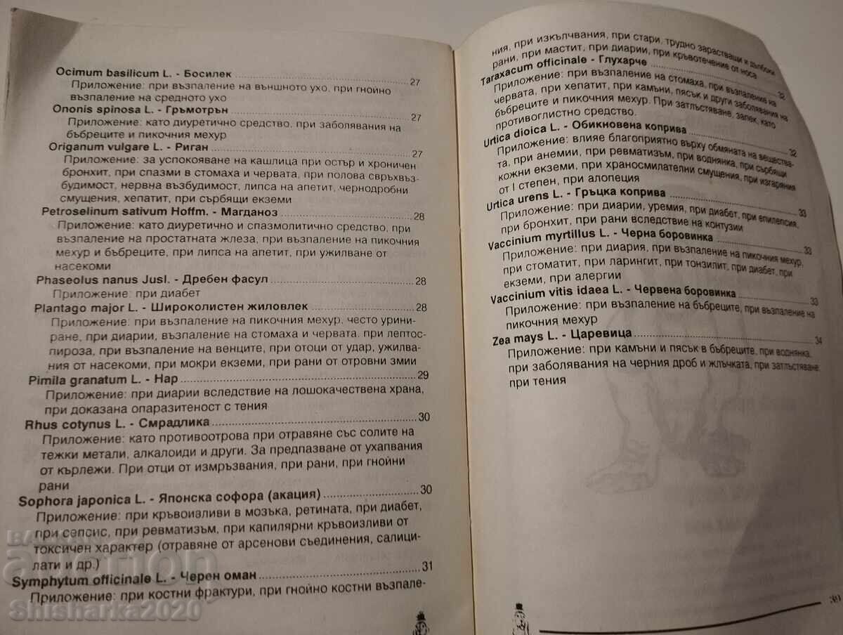 Φυτικό φαρμακείο για τον σκύλο - 5