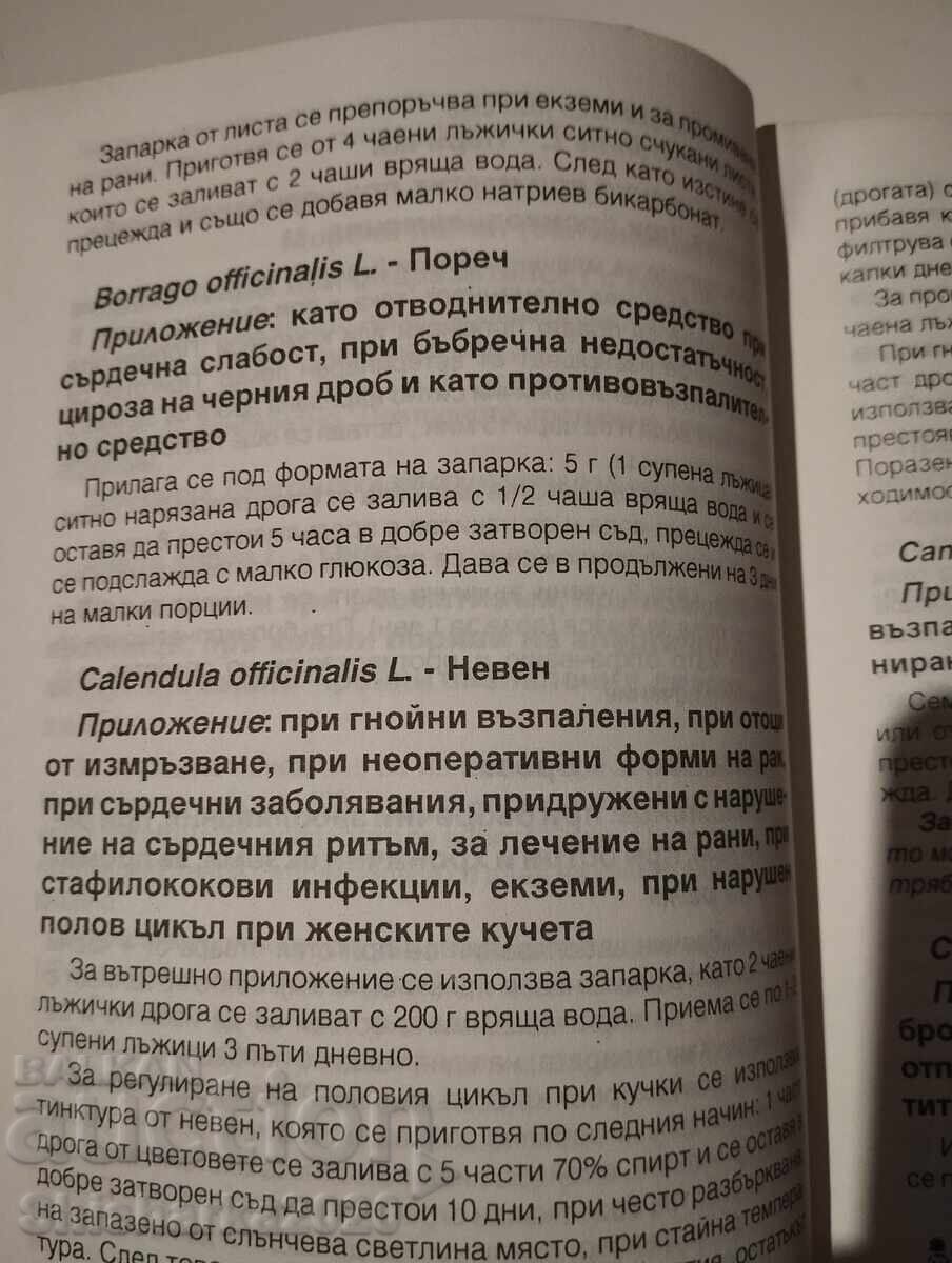 Φυτικό φαρμακείο για τον σκύλο - 6