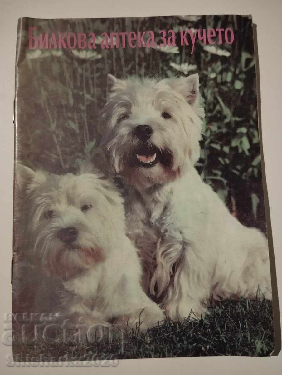 Φυτικό φαρμακείο για τον σκύλο