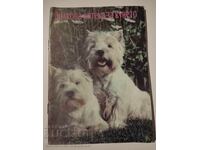 Φυτικό φαρμακείο για τον σκύλο