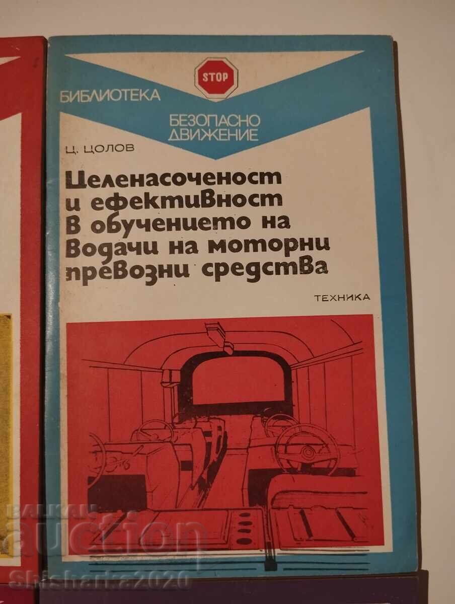 Licitație Lot! TRAFIC SIGUR