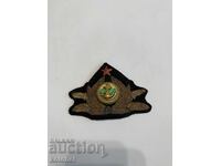 Cocarda - amiral - socialistă