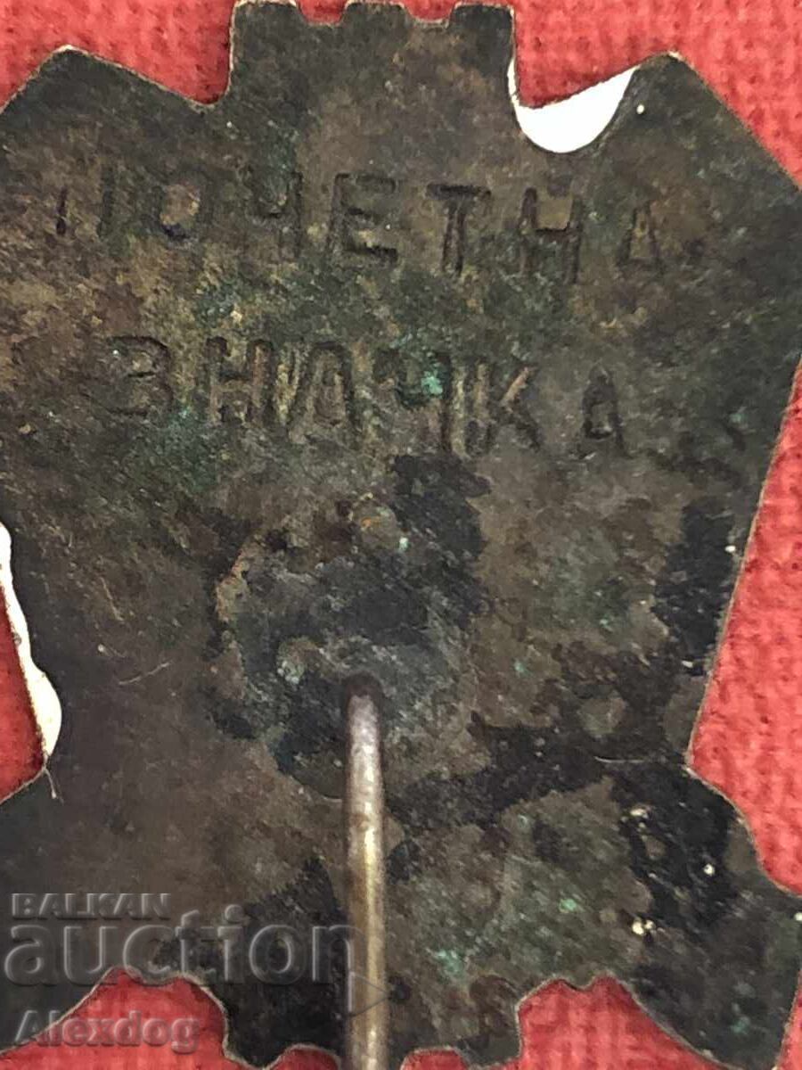 Breast badge. Honorary badge VARNA - 5