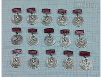 EXCELLENTLY FULFILLED SM RODINA BADGES LOT 15 PIECES