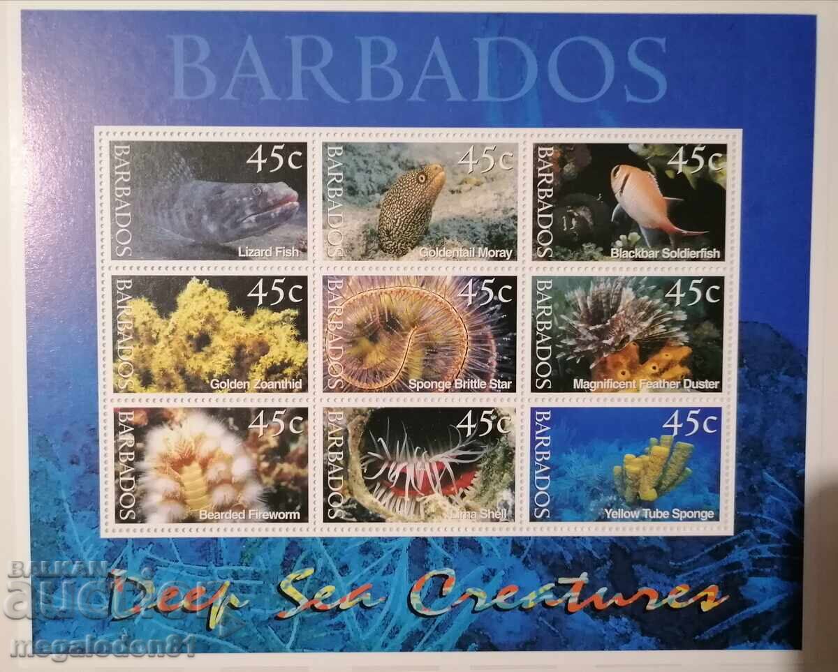 Barbados - marine fauna