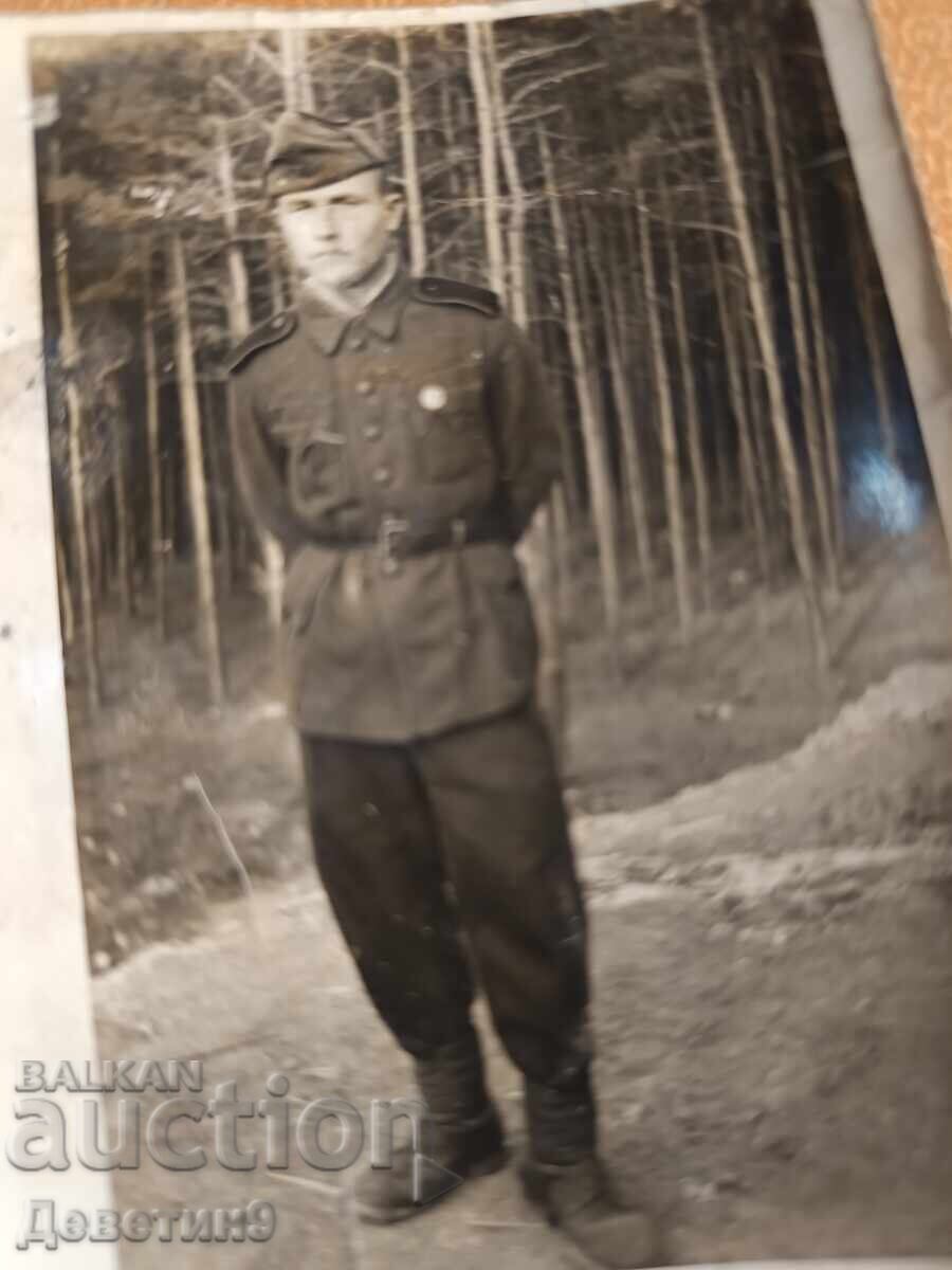 Δημοπρασία Νέος στρατιωτικός με φόντο το δάσος