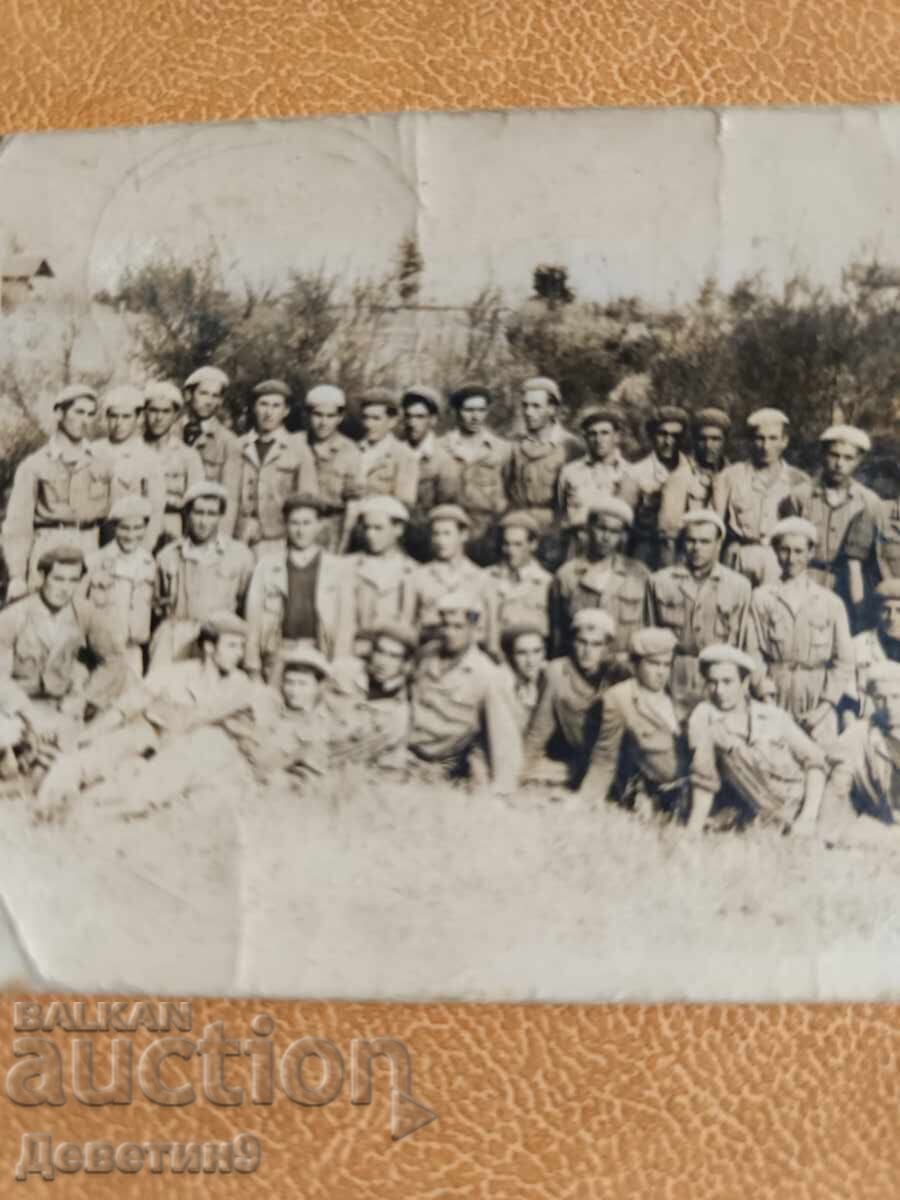 Δημοπρασία Ταξιαρχία Δ.Ζ.Σ. "Στάλιν" - 1950
