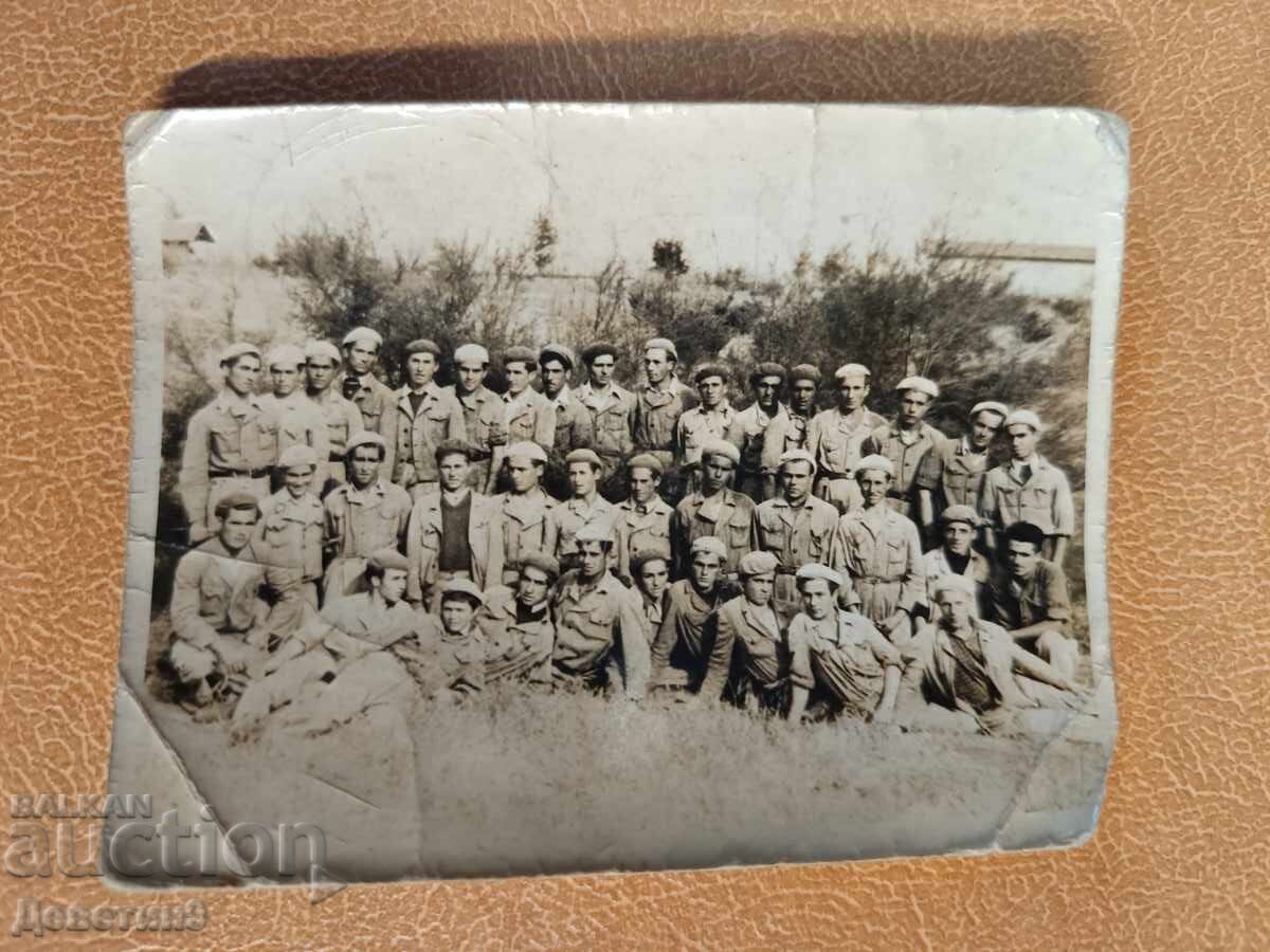 Ταξιαρχία Δ.Ζ.Σ. "Στάλιν" - 1950