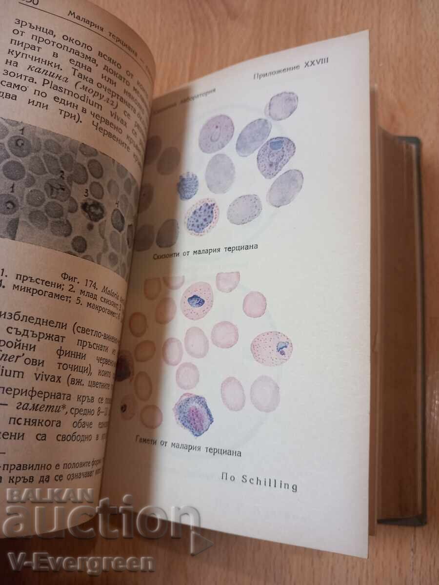 Доставка на Клинична лаборатория - Константин Чилов, 1948