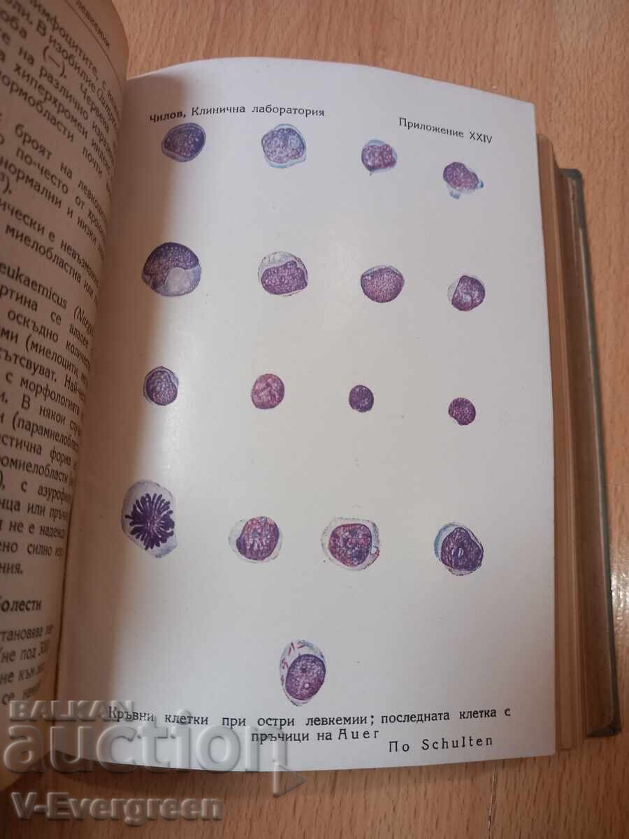 Клинична лаборатория - Константин Чилов, 1948 - 5