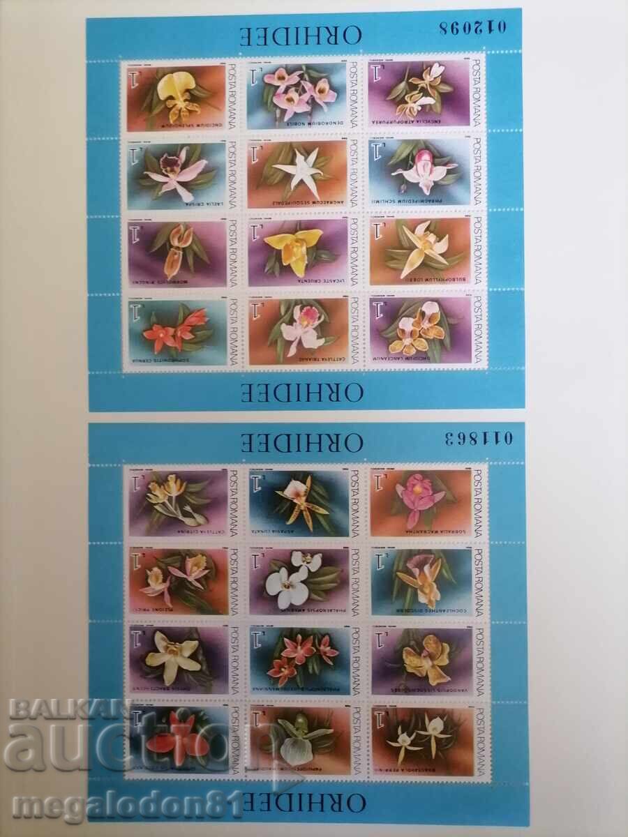 Romania - flora, orchids