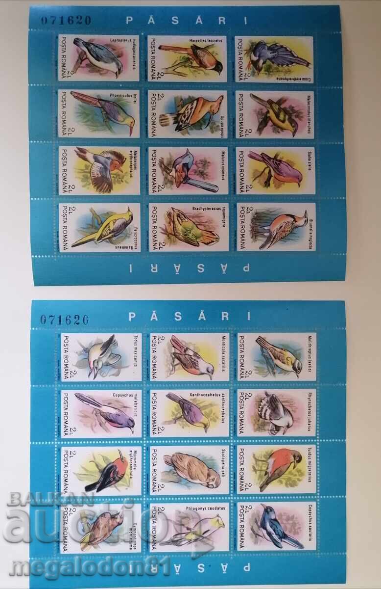 Romania - fauna, birds