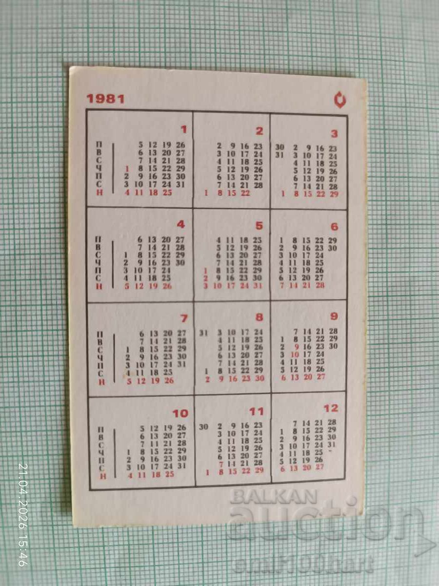 Ημερολόγιο τσέπης ΕΛΠΑ Παιδιά στον δρόμο 1981 με τιμή € 0.50 | 0.98 BGN