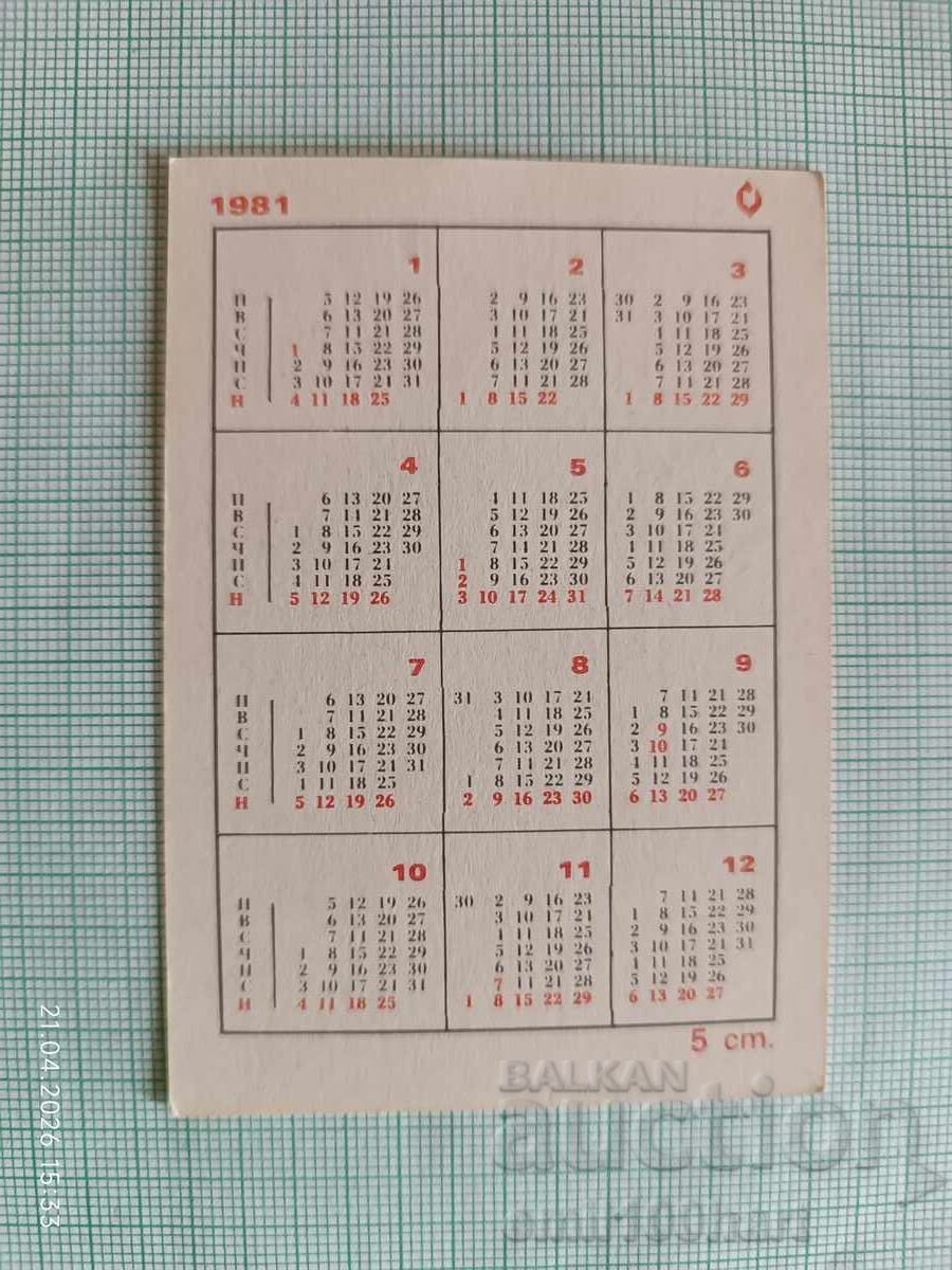 BLRS Calendar Hunter and Fisherman's House Sofia 1981 with price € 0.50 | 0.98 BGN