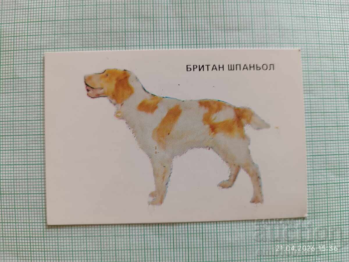 Calendar de buzunar Câini de vânătoare Brittany Spaniel 1983