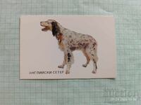 Ημερολόγιο τσέπης Κυνηγετικά σκυλιά Αγγλικό Σέτερ 1983