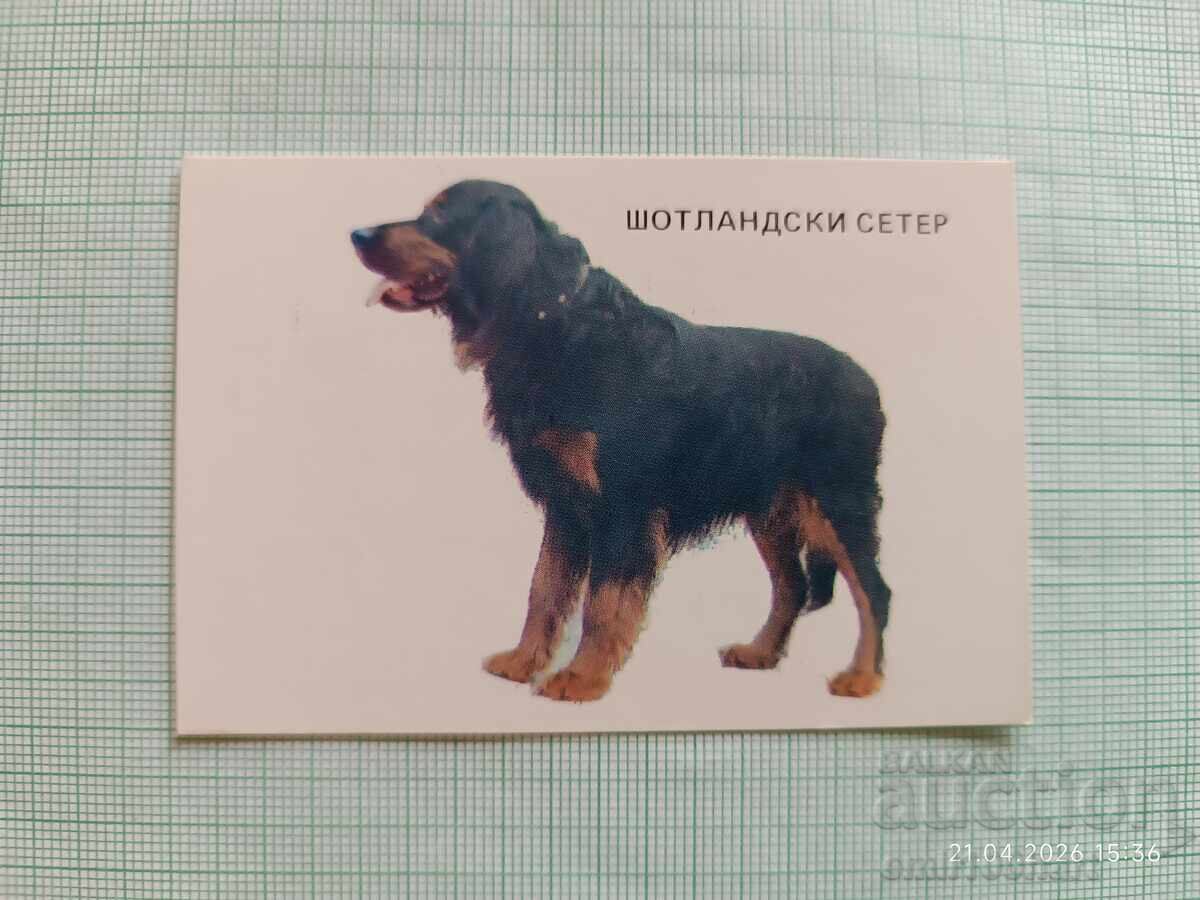 Calendar Câini de vânătoare Setter Scoțian 1983