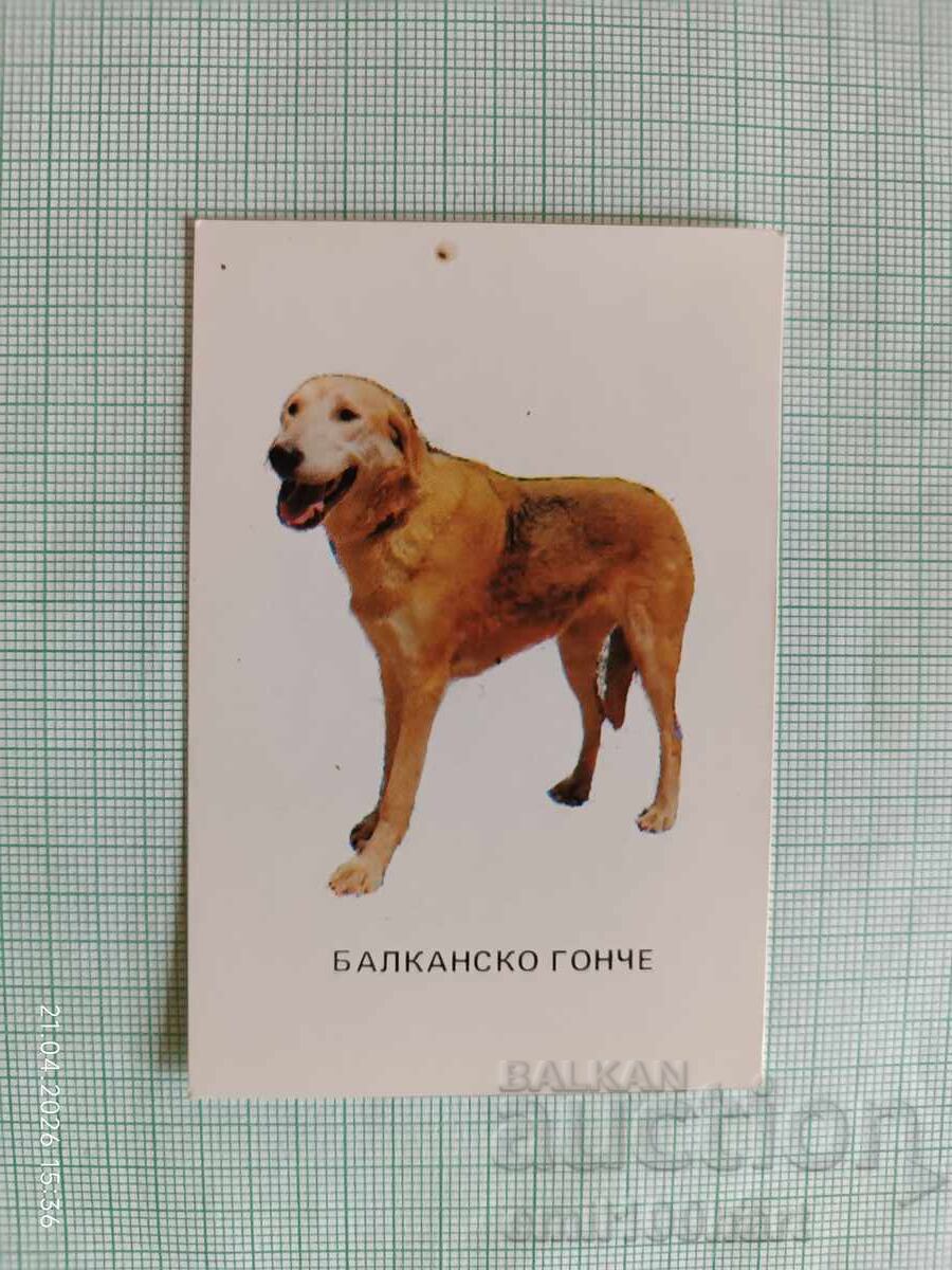 Ημερολόγιο τσέπης Κυνηγετικά σκυλιά Βαλκανικός Ιχνηλάτης 1983