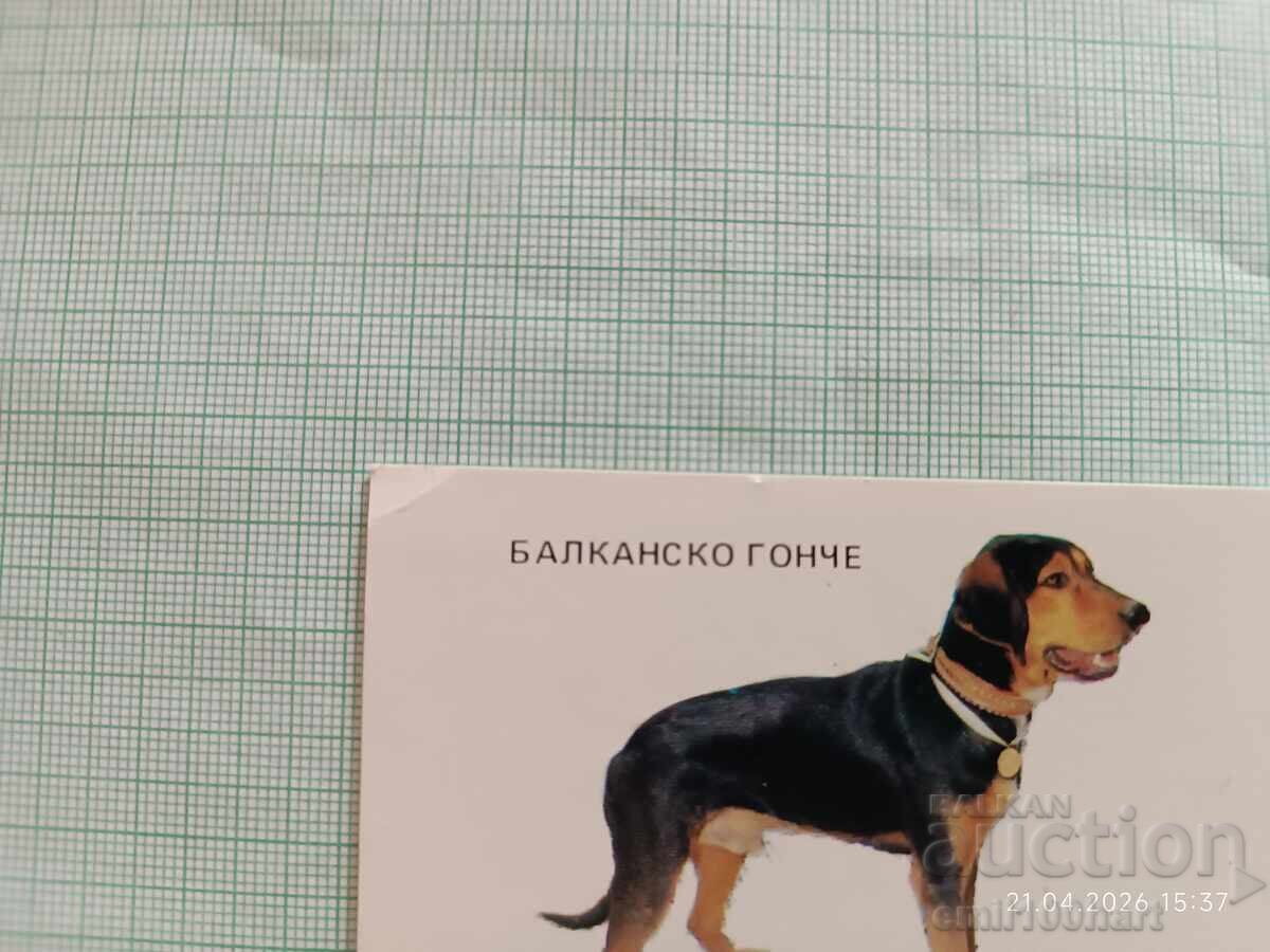 Ημερολόγιο τσέπης Κυνηγετικά σκυλιά Βαλκανικός Ιχνηλάτης 1983 με τιμή € 0.75 | 1.47 BGN