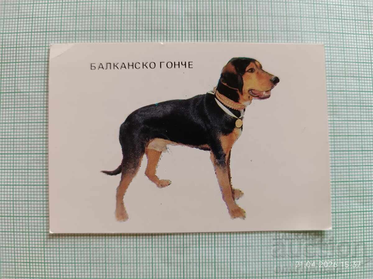 Ημερολόγιο τσέπης Κυνηγετικά σκυλιά Βαλκανικός Ιχνηλάτης 1983