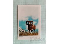 Ημερολόγιο τσέπης Μουφλόν 1984