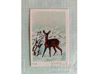 Deer Pocket Calendar 1984