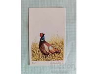 Pheasant 1984 Pocket Calendar