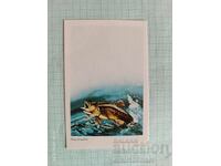 Ημερολόγιο τσέπης Πέστροφα 1984