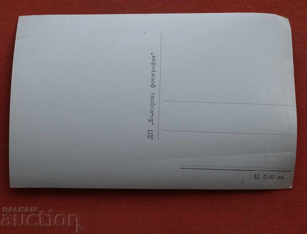 Πομόριε - Αλυκές με τιμή € 1.00 | 1.96 BGN