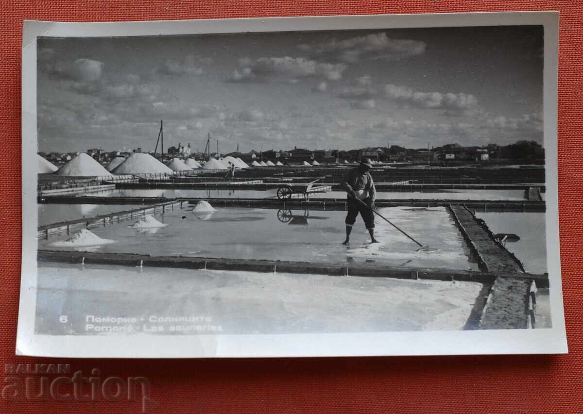 Πομόριε - Αλυκές