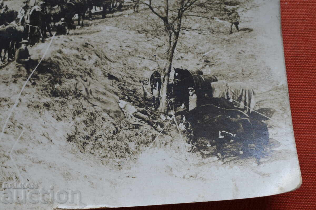 Аукцион Керван Виенни-размер-165 х118мм.