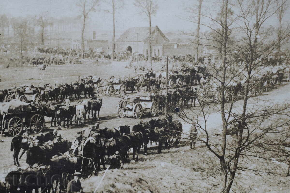 Доставка на Керван Виенни-размер-165 х118мм.