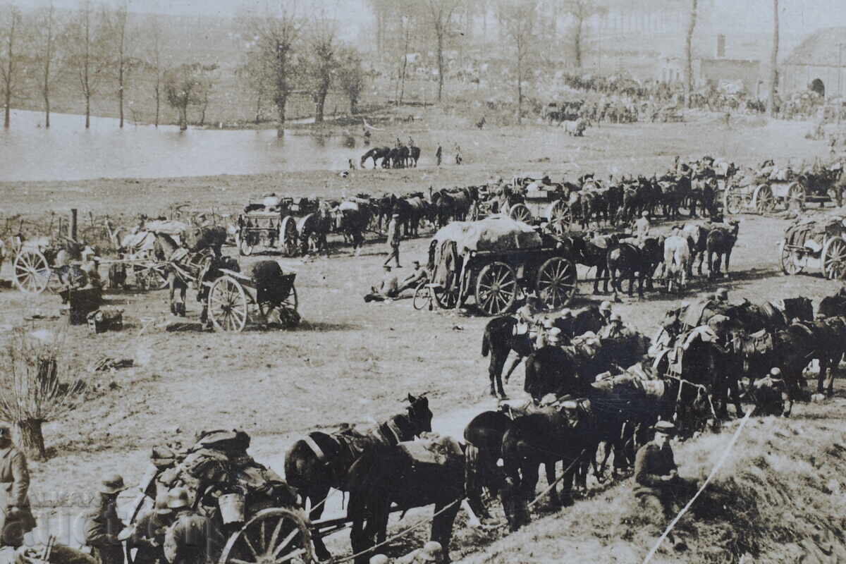 Керван Виенни-размер-165 х118мм. - 5
