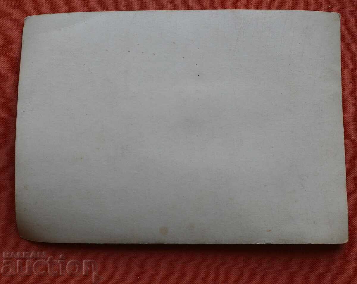 Керван Виенни-размер-165 х118мм. - 6