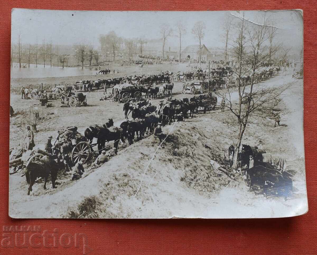 Керван Виенни-размер-165 х118мм.