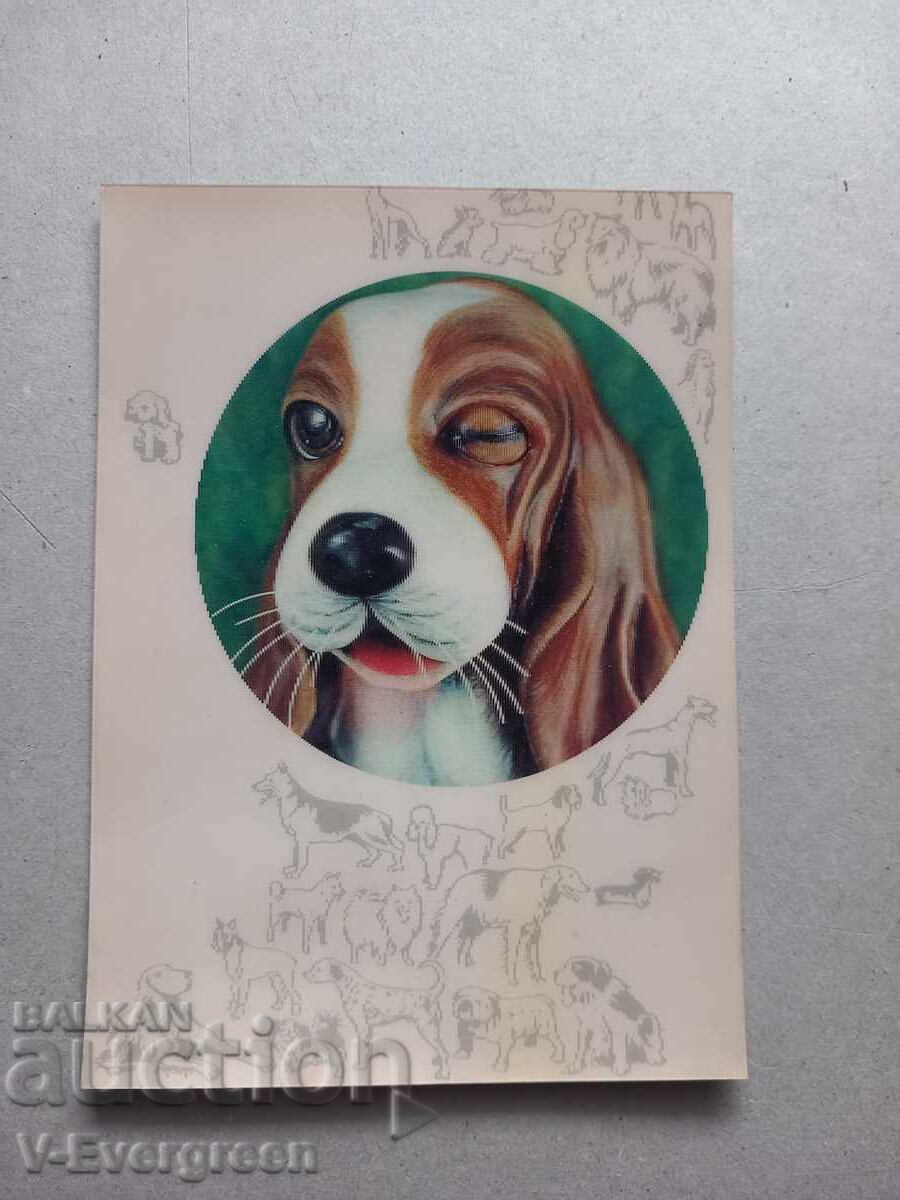 Carte poștală 3D veche cu câine care clipește cu preț € 0.01 | 0.02 BGN