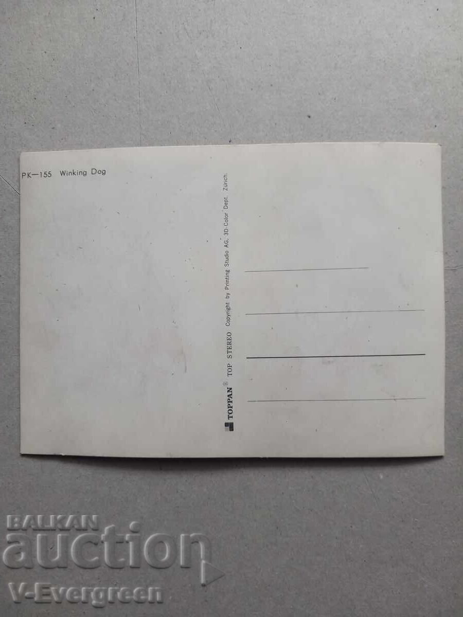 Licitație Carte poștală 3D veche cu câine care clipește