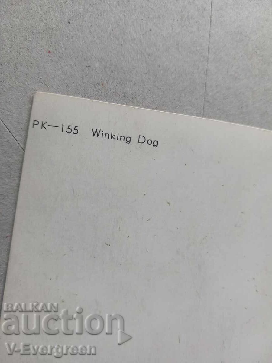 Livrarea Carte poștală 3D veche cu câine care clipește