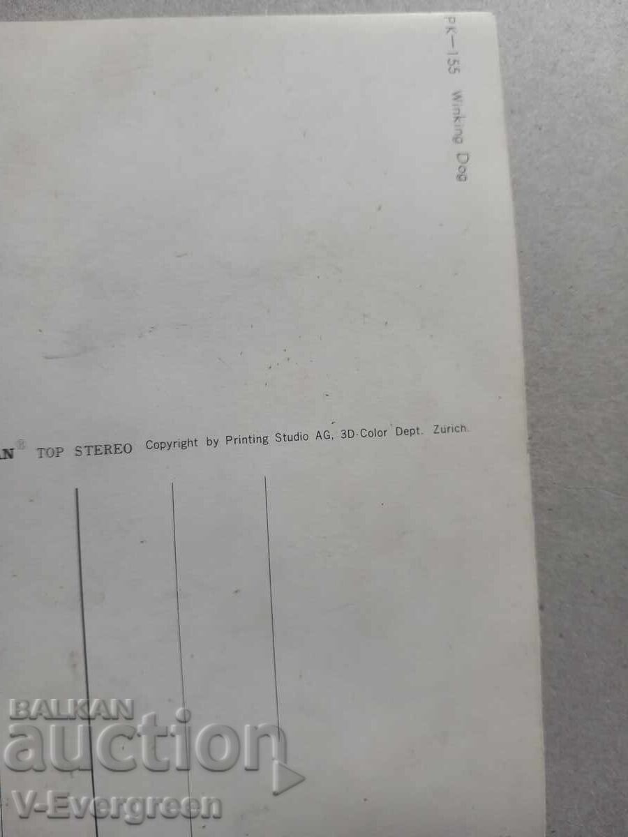 Carte poștală 3D veche cu câine care clipește - 5