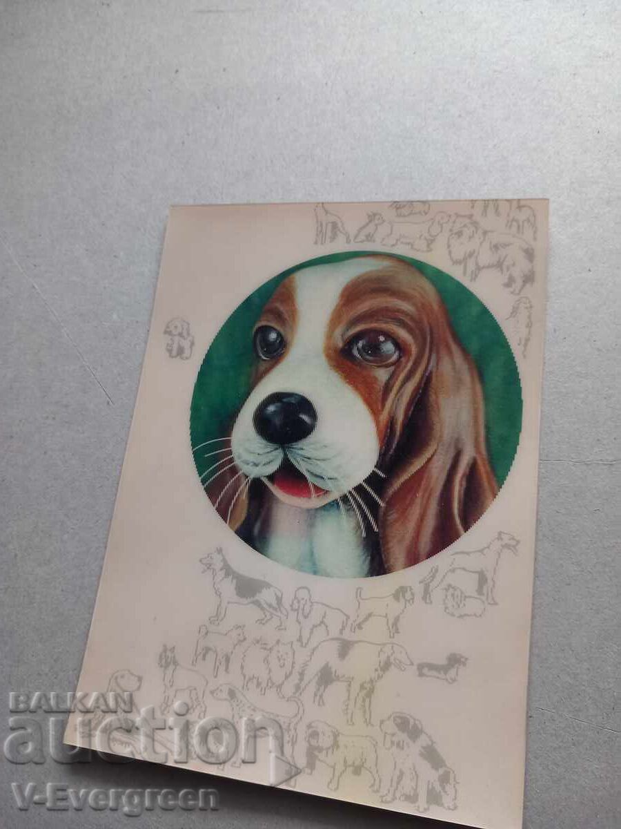 Carte poștală 3D veche cu câine care clipește