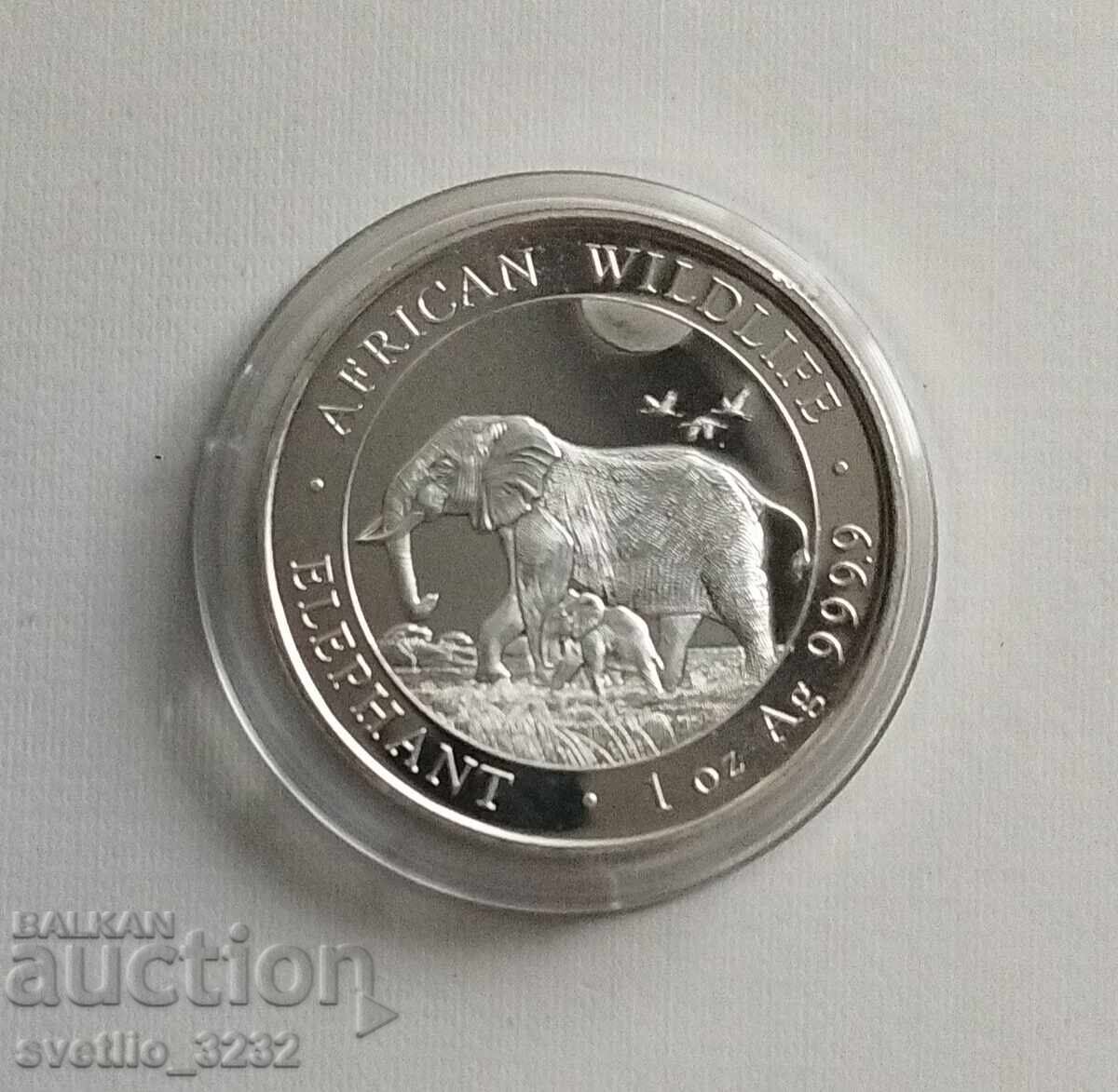 Silver 1 OZ 2022 Elephant