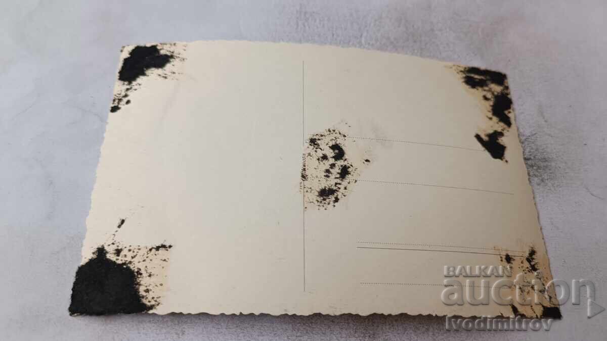 Fotografie șosea nouă în munți cu preț € 1.86 | 3.64 BGN