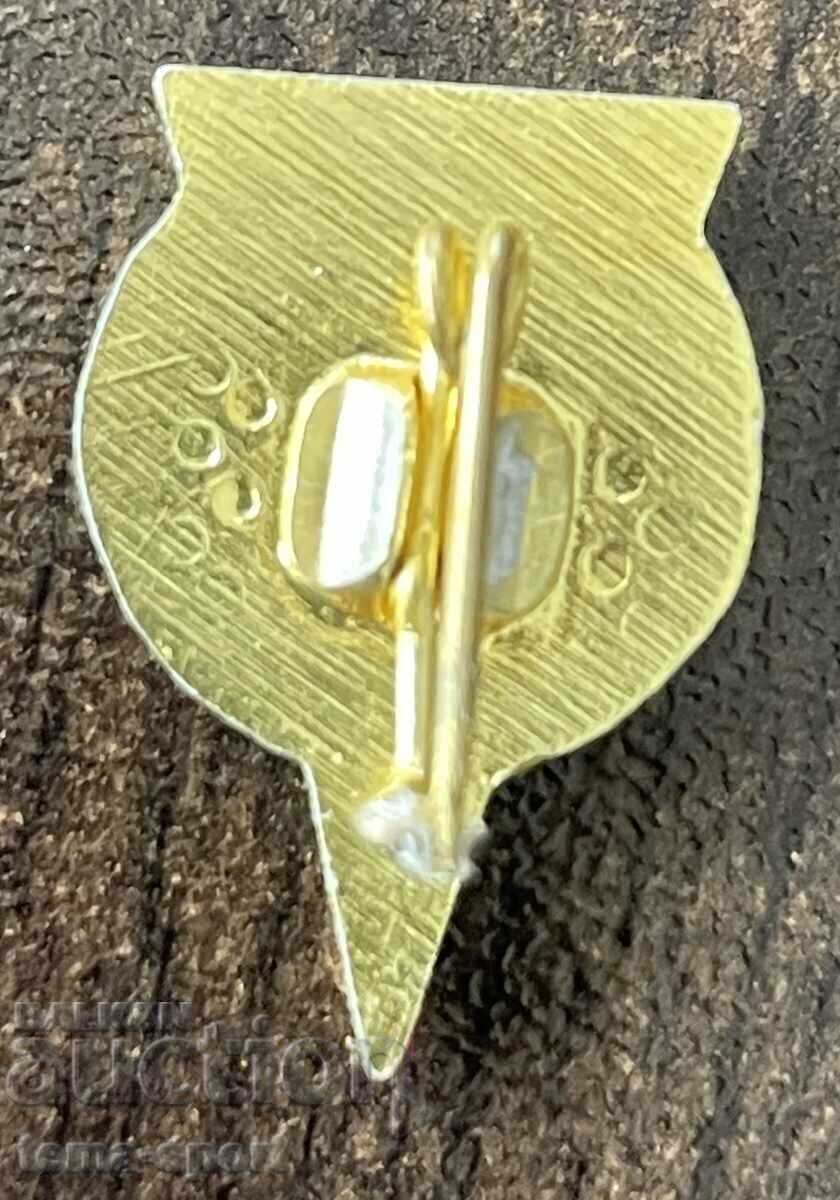 2041 Bulgaria insignă club de fotbal Sportist General Toshevo cu preț € 3.00 | 5.87 BGN