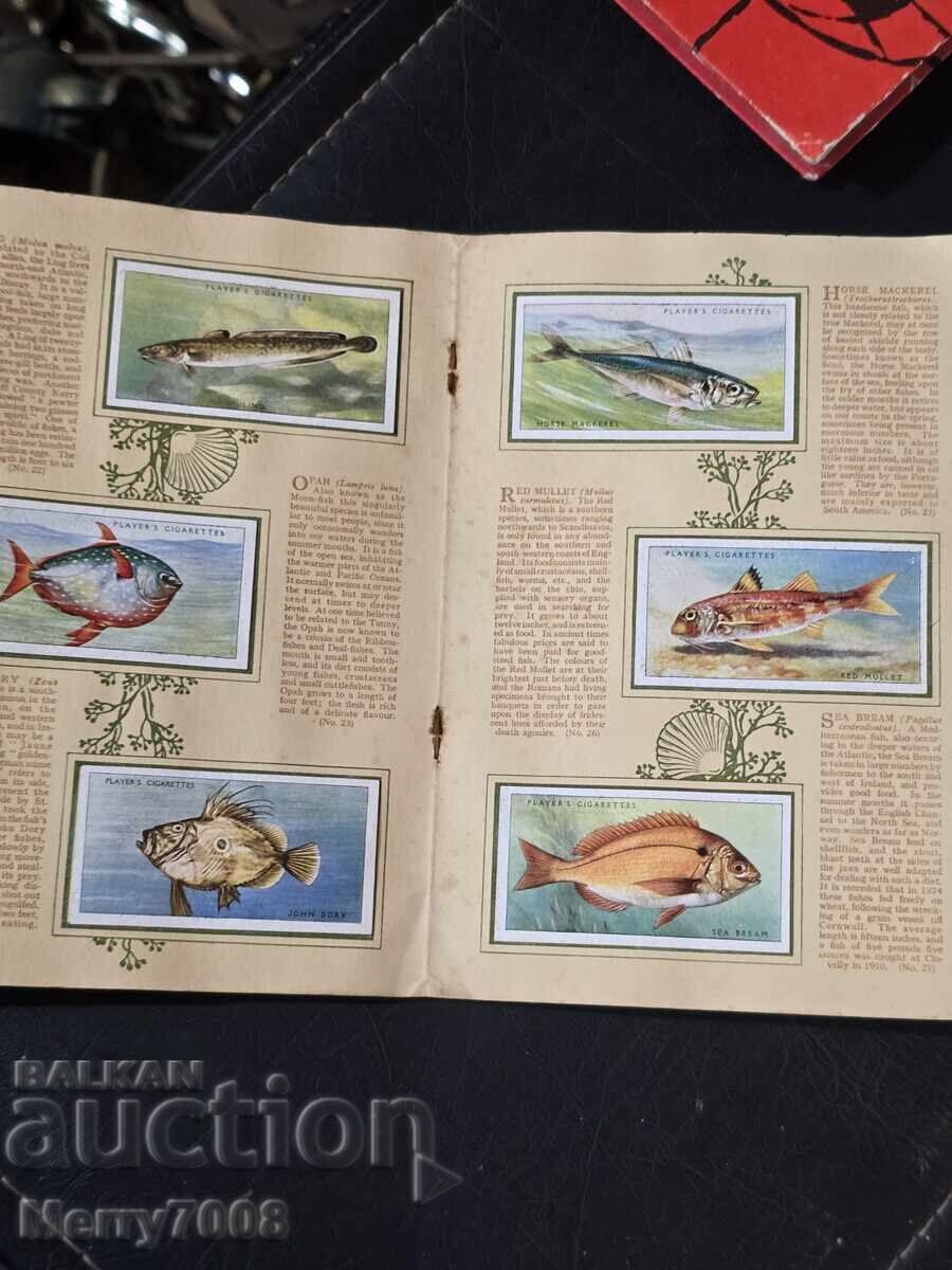 Άλμπουμ της John Player & Sons με τίτλο «Θαλασσινά ψάρια»! με τιμή € 25.00 | 48.90 BGN